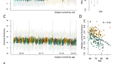 Harmonization of cortical thickness measurements across scanners Image