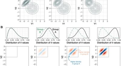 A local group differences test for subject-level multivariate density neuroimaging outcomes Image