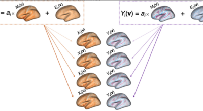 A simple permutation-based test of intermodal correspondence Image