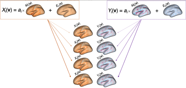 A simple permutation-based test of intermodal correspondence Image