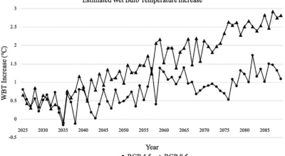 With Climate Change, More Cases of Kidney Stones Image