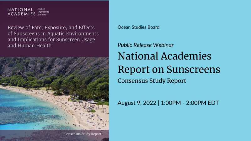 Ocean Studies Board releases sunscreen report – August 9, 2022 Image