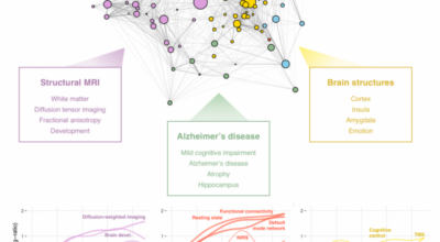 The landscape of NeuroImage-ing research Image