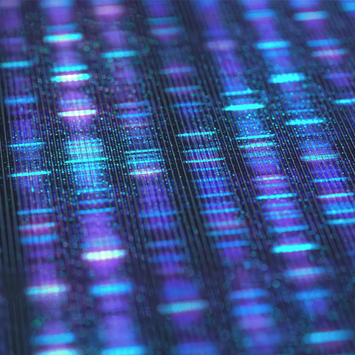 Visualization of DNA sequence code.