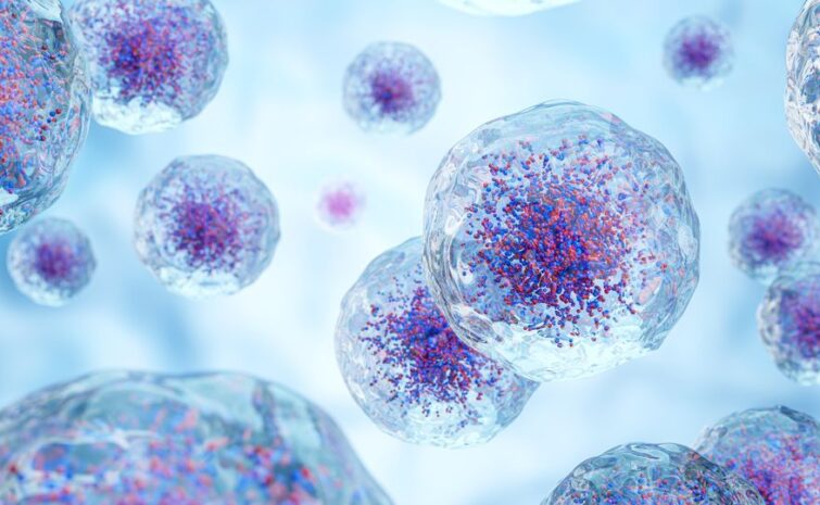 Single-Cell Genomics